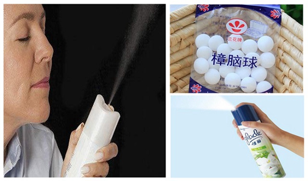 鄰居羨慕我家新房空氣清新，偷偷告訴你都是它的功勞