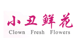 北京創(chuàng)意非凡鮮花有限公司