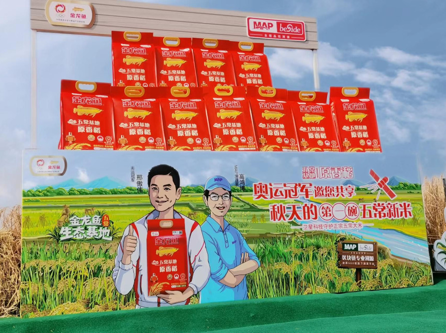 金龍魚(yú)五?；卦愕境噬夏甓人菰闯晒?，正宗五常好新米上市獲冠軍肯定